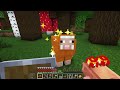 Farming Mobs with a Custom MOB GRINDER