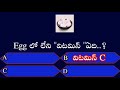 very very interesting facts 👌|| super Quiz 🌺|| Best GK 🌺|| Don't miss 🙏🙏🙏