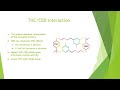 EndoCannabinoid System for the Non Science Types