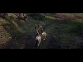 Best Horse in Red Dead 2