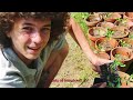 Planting the Garden 2015