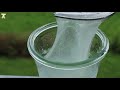 How to make natural aloe vera gel at home | Diy aloe vera gel