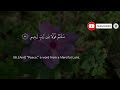 Surah Yasin  Yaseen   سورۃ یس  Ep   0651  By Sheikh Abdur Rahman As Sudais  Ahsan Ul Hadees