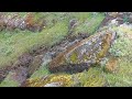 Lake Berryessa ca boat launch & glory hole water level