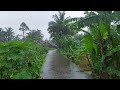 Rain refreshes the mind overcoming sleep disorders, walking in the village with rain and thunder