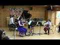 Mozart Piano Quartet in G minor K478 - 1st movement