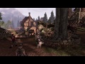 Fable 3 :: How to Train Your Dog
