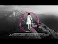 Vintage Culture, Bruno Be & Ownboss - Intro Rework (Ashibah Miracle Vox Edit)