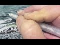 How To Sketch A Shimmering Sea - A Sketchalong In Ink & Watercolour