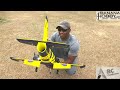 Mind-Blowing RC Jet Performance:Fly-Fans Baltic Bees L-39 64mm EDF Jet