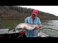 Locating and Catching the Giant American Catfish