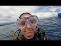 Scuba Diving The Philippines - Moalboal #moalboal #pescadorisland #sardinerun