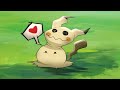 Pokémon Battle Royale Animation - GAME SHENANIGANS!  ☄️ 💥 🔥