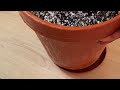 clean and water my plants with me 🌱💧| tips and tricks for easy plant care | plant care motivation