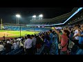 삼성 라이온즈  三星獅 Samsung Lions  4