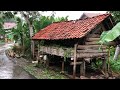 Super Heavy Rain in Beautiful Small Village Life | Walk In Heavy Rain | Rain Sounds For Sound Sleep