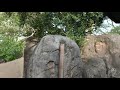 Kilimanjaro Safaris Disney's Animal Kingdom Complete 4K Ride Experience 2020 Walt Disney World