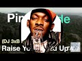 Raise Up Your Hands Up - Pimp!Code & Petey Pablo ft. DJ 3xB | RaveDJ
