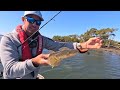 10 Quick Flathead Fishing Tips!