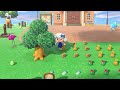 Club Gryate & The Hunt For Amazing Villagers! Fresh Start Animal Crossing 2024