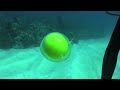 BIOS-Water Moves: The Egg!