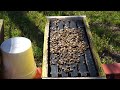 How To Make A lot Of New Hives FAST!!!
