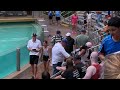 HILARIOUS Tom the Famous Seaworld Mime (MUST SEE!)