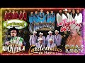 Cardenales De Nuevo Leon,Los Tucanes De Tijuana,  Los Originales De San Juan,Los Tigres Del Norte...