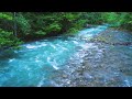 4K Gentle Mountain River | Water Sounds White Noise | Sleep and Relaxation