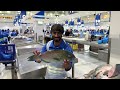 ദുബായിയിലെ ഒരു മീൻ മാർക്കറ്റ് | Deira Fish Market | Dubai Waterfront Market