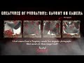 Creatures of Purgatory: Caught on Camera