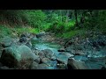 Relaxing River Sounds for Therapy, Deep Sleep, Stress Relief, Calming Soul, Meditation