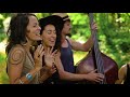 Rising Appalachia - I Shall Be Released - On the Farm Sessions @Pickathon 2018 S06E03