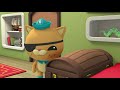 Winter with the Octonauts | Wizz Learning