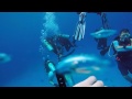 POV Diving - Chau Kanaab - Cozumel - México