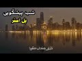 كتاب صوتى «شب پيشگويى» نوشته‌ى: پل استر(با روايت استاد بهروز رضوي)