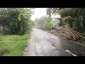 Heavy rainstorm, wind & dangerous lightning overhead | Extreme weather in Indonesia | For insomania