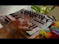 Wander around with Korg Minilogue