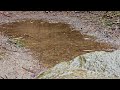 4K Raindrops Splashing Into A Puddle