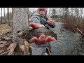 Trout Fishing Connecticut's Mill River