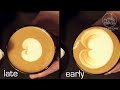 Sunergos Milk Training Video: Learn Milk Science, Steaming, and Latte Art