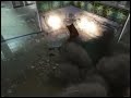 contradragon - Black Ops Game Clip