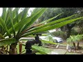 4k rain porch