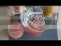 Popping Boba Recipe | Making Juicy Pearls for Bubble Tea