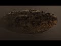 Biggest Aircraft and Starships of Dune and Dune 2 Movies