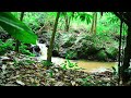 Nature sounds, birds chirping, calming river sounds, relaxing in the forest, ASMR