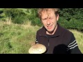 Parasol Mushroom Identification, Macrolepiota procera