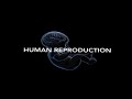 Human Reproduction (Male and Female reproductive system overview) | IN HINDI