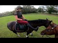 The ULTIMATE Horsepower! - Riding Horses With My Wife