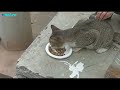 kucing stasiun ngikutin, minta makan sepertinya